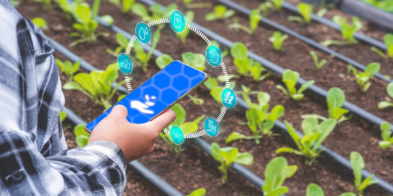 The core control module of the wireless smart irrigation controller adopts a high-performance PCBA circuit board