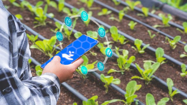 Smart Irrigation pcba