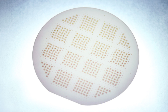 Products Wafer-level packaging substrates